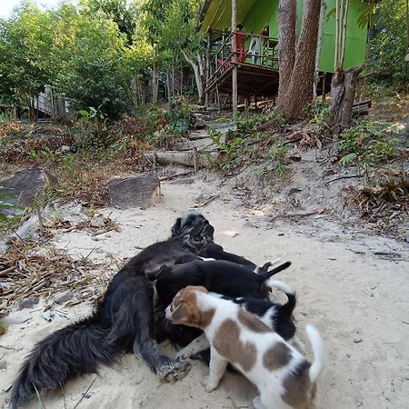 Sweet Jungle Camping Kaoh Touch ภายนอก รูปภาพ